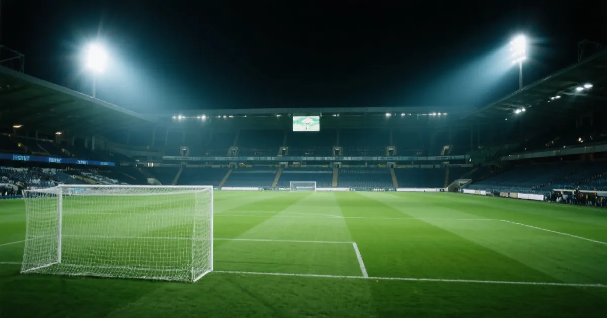 体育赛场氛围图